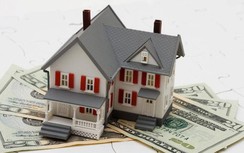 Chậm nộp bản kê khai tài sản có thể bị thôi việc