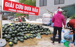 Dịch nCoV: Dưa hấu lăn lóc, nằm dài trên phố Hà Nội chờ "giải cứu"