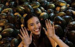 Á hậu Kim Duyên về quê bán dưa hấu giữa đại dịch Corona