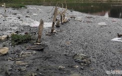 Cận cảnh hồ ngập ngụa rác thải, ô nhiễm nghiêm trọng ở Đà Nẵng