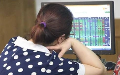 Chứng khoán ngày 14/2: Cổ phiếu lớn phân hóa, VN-Index liên tục giằng co