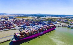 Tân cảng Cái Mép lập kỷ lục mới xếp dỡ hàng trên tàu “mẹ”