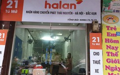 Limousine Hà Lan “lũng đoạn”, doanh nghiệp vận tải Tuyên Quang kêu cứu