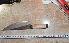 Bắt khẩn cấp nghi phạm giết người phụ nữ tại nhà nghỉ ở Bắc Giang