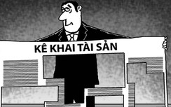 Xác minh ngay tài sản quan chức nếu thấy bất thường