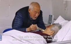 Video: Cảm động cảnh cụ ông 87 chăm cụ bà 83 mắc Covid-19