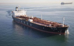 Điểm danh 13 doanh nghiệp Vinalines thực hiện thoái vốn trong năm 2020