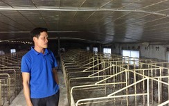 Gần 80% hộ chăn nuôi bỏ nghề, giá thịt lợn tăng đến mức nào?