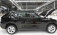 Đừng để cơ hội tuột khỏi tay khi bước vào trời Âu