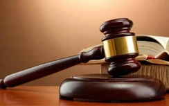 Chậm lên sàn sau cổ phần hóa, Hanel bị xử phạt 300 triệu đồng