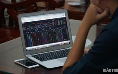 Chứng khoán ngày 24/2: Bán tháo trên diện rộng, VN-Index mất gần 30 điểm