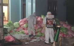 Gom 620 kg khẩu trang đã dùng: Đối tượng bất ngờ thay đổi lời khai