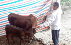 Bí ẩn ngôi làng “10 năm nuôi con vật gì cũng chết”