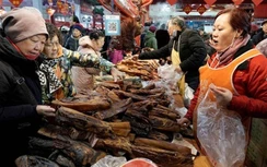 Thâm Quyến sẽ cấm ăn thịt chó mèo sau khi Covid-19 bùng phát ở Trung Quốc