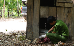 Gia Lai: Bắt 7 đối tượng cất giữ nhiều súng, đạn trái phép ở Gia Lai