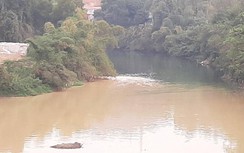 Doanh nghiệp "đầu độc" sông Trung: Quản lý thừa nhận, giám đốc nói "không"