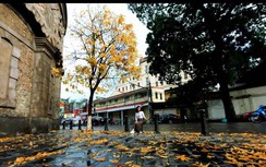 Mỗi góc phố Hà Nội đều thành điểm check in tuyệt đẹp trong khúc giao mùa