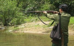 Vào rừng săn thú, người đàn ông tử vong bên khẩu súng tự chế