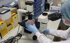 Việt Nam sắp có bộ xét nghiệm nhanh virus SARS-CoV-2