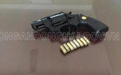 Dùng súng truy sát đối thủ, bắn nhầm tài xế ô tô ở Đồng Nai