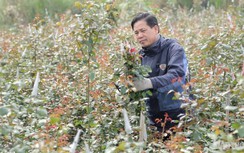 Cận 8/3, thị trường hoa ảm đạm vì dịch Covid-19