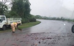 Video: Hành động đẹp của CSGT được dân mạng tán thưởng