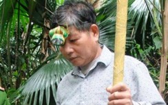 Lão nông đánh chết người vì nghi ngờ kẻ gian chặt trộm chè của gia đình