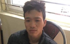 Kẻ trốn nã bị tóm gọn khi đang cướp giật túi xách của một phụ nữ