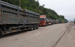 Xe nghi chở quá tải chạy rầm rập trên QL1, thách thức CSGT Hà Tĩnh