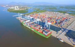 Hàng qua cảng biển Vũng Tàu tăng ấn tượng giữa cao điểm dịch Covid-19