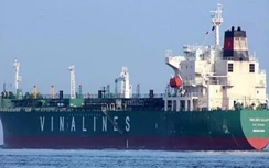 Tàu biển bị ảnh hưởng dịch Covid-19 có thể được hoãn đăng kiểm