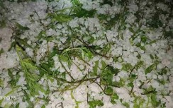 Mưa đá lại xuất hiện tại nhiều tỉnh Tây Bắc