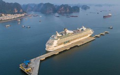 Dịch Covid-19 diễn biến phức tạp, hàng hải lên kịch bản mới ứng phó