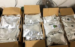 Bắt giữ chủ “trang trại” cần sa, chế biến đóng gói trong túi bạc