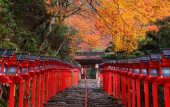 Tỉnh Hokkaido đã dở bỏ tình trạng khẩn cấp vì Covid-19