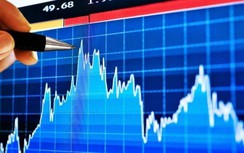 Dùng 23 tài khoản thao túng cổ phiếu, nữ nhân viên bị phạt 550 triệu đồng