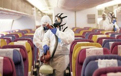 Nếu không được hỗ trợ, phần lớn các hãng bay sẽ phá sản trước tháng 5/2020