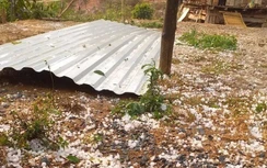 Mưa đá làm hư hỏng gần 400 ngôi nhà ở Điện Biên và Sơn La