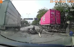Video: Cây khô bất thần đổ xuống đường, suýt đè chết 2 người đi xe máy