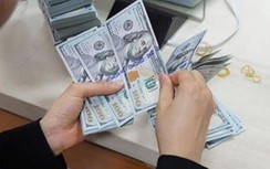 Giá USD tăng mạnh, Ngân hàng Nhà nước nói gì?