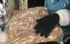 Thêm 1 trang trại chứa hàng chục tấn nội tạng bốc mùi ở Hải Dương