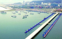 Cảng tê liệt vì tàu khách nối nhau hủy chuyến