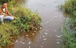 Gia Lai xử lý nhà máy đường gây ô nhiễm ở An Khê ra sao?