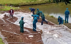 Mưa dông khiến nhiều tỉnh Tây Bắc thiệt hại nặng