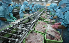 Nâng gói hỗ trợ thuế từ 30 nghìn tỷ đồng lên hơn 80 nghìn tỷ đồng