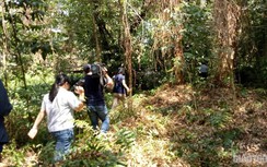 Cà Mau siết chặt người ra vào rừng lấy mật ong phòng cháy rừng