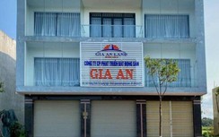 Quảng Ngãi: San lấp trái phép ruộng lúa, doanh nghiệp bị phạt 300 triệu