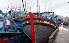 Phạt 900 triệu đồng chủ tàu cá ở Bình Định xâm phạm lãnh hải Đài Loan