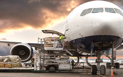 Cái khó, ló cái khôn: Nhiều hãng bay chuyển sang chở hàng trong mùa dịch