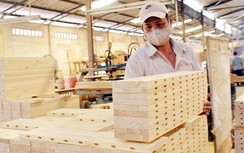 Giữa bão Covid-19, vẫn có mặt hàng xuất khẩu mạnh mẽ